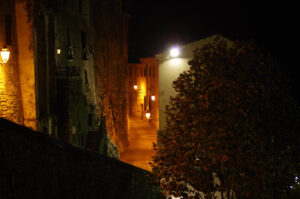 Foto Bassiano Aldo Manuzio