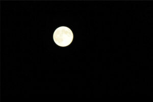Foto Luna Dolomiti