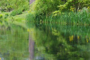 Giardini di Ninfa Fiori Piante Lago Sermoneta Caetani